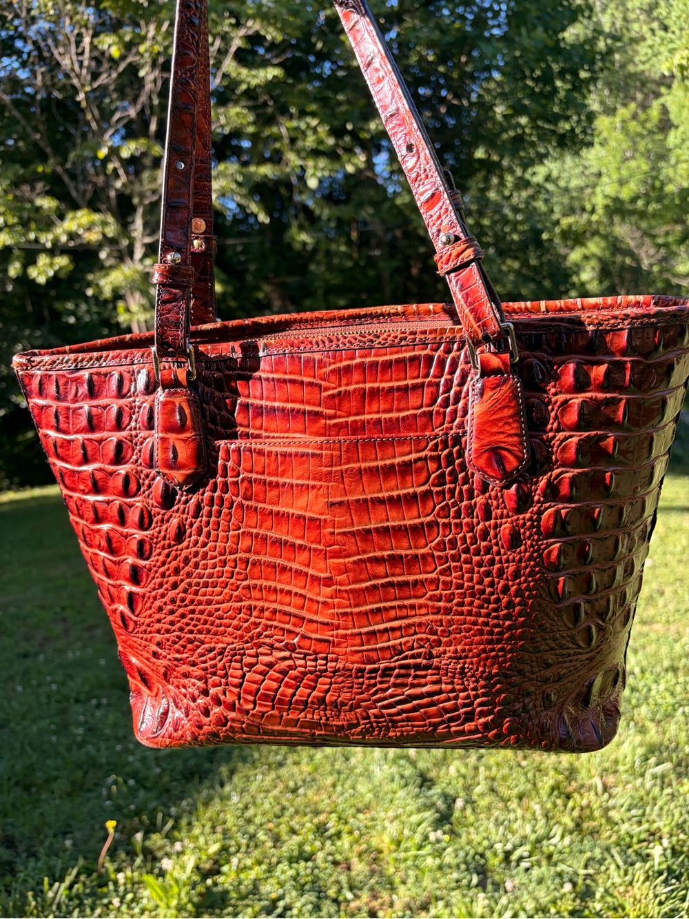 Brahmin Pecan Asher
Croc-Embossed Leather Tote Bag - Picture 4 of 11